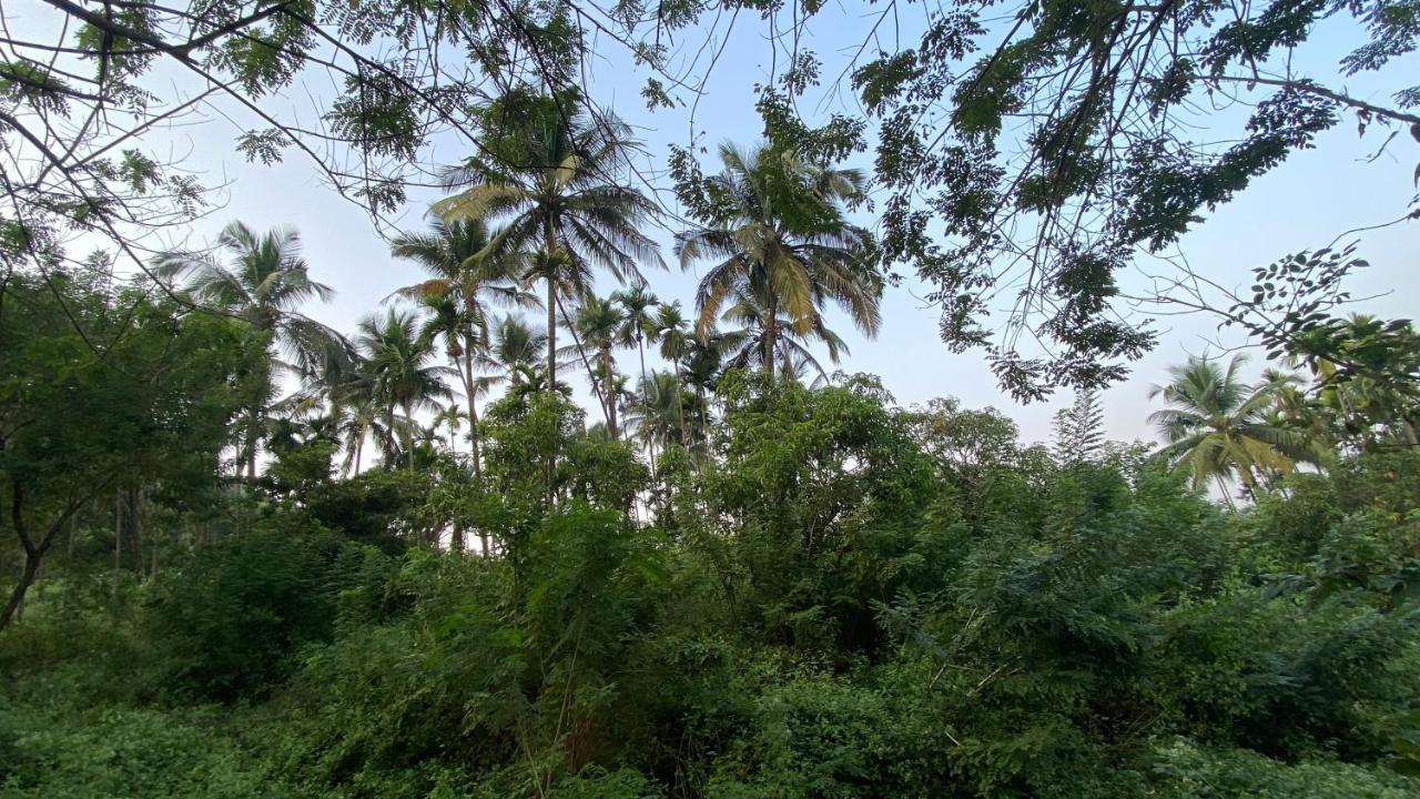 Lermitage Farms Kashid Alibaug Villa Eksteriør bilde
