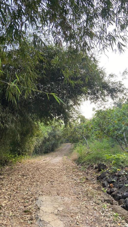 Lermitage Farms Kashid Alibaug Villa Eksteriør bilde
